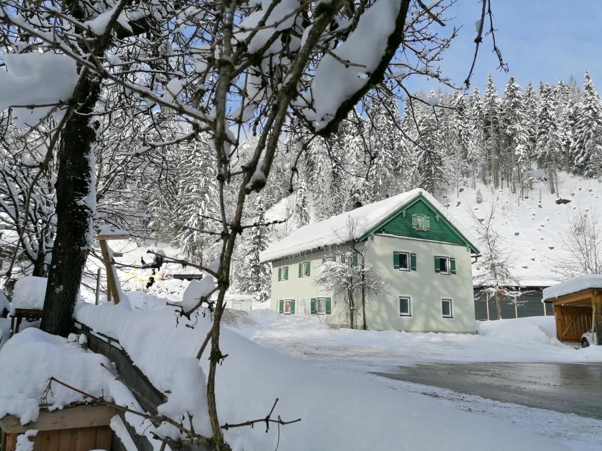 Ferienwohnung Saunahaus Annaberg im Lammertal Exterior photo